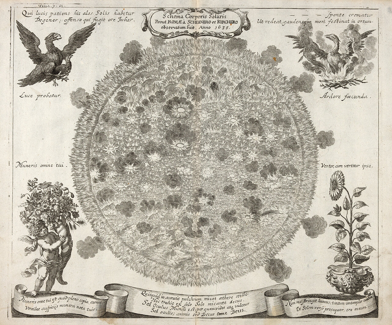 Karte der Sonne mit Sonnenflecken aus Specula physico-mathematico-historica notabilium von Johannes Zahn