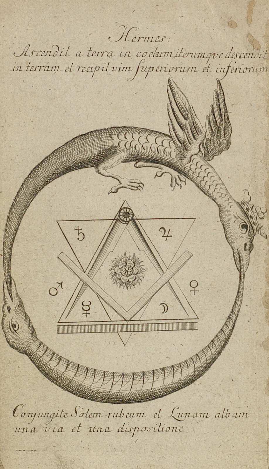 Die Abbildungsseite aus dem Buch "Des Hermes Trismegists wahrer alter Naturweg", das im Jahr 1782 in Leipzih erschien, zeiht ein Hexagramm mit den Freimaurersymbolen in einem Ring aus zwei Drachenfiguren, die einander in den Schwanz beißen. 