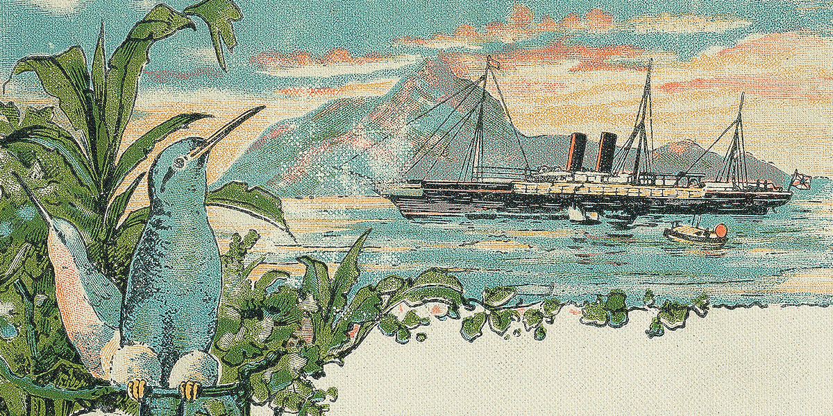 der Ausschnitt eines Buchcovers zeigt farbenfrohe tropische Vögel. Im Hintergrund ist eine Bucht zu sehen, in der ein altes Passagierschiff liegt. Boote zum Übersetzen sind auf der Wasseroberfläche zu sehen.
