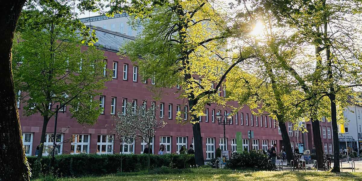 Zu sehen ist die Außenfassade der Badischen Landesbibliothek entlang der Erbprinzenstraße. Bäume bedecken einen Teil der Sicht, Nachmittagssonne scheint durch die Baumkronen.