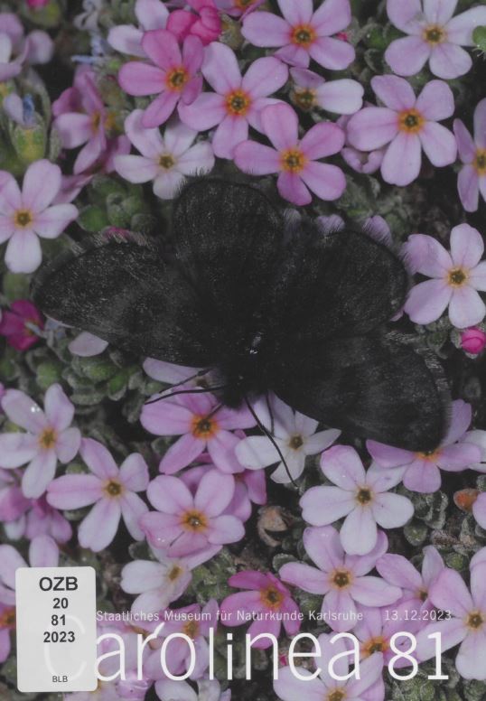 Das Bild zeigt das Cover der Zeitschrift Carolinea 81