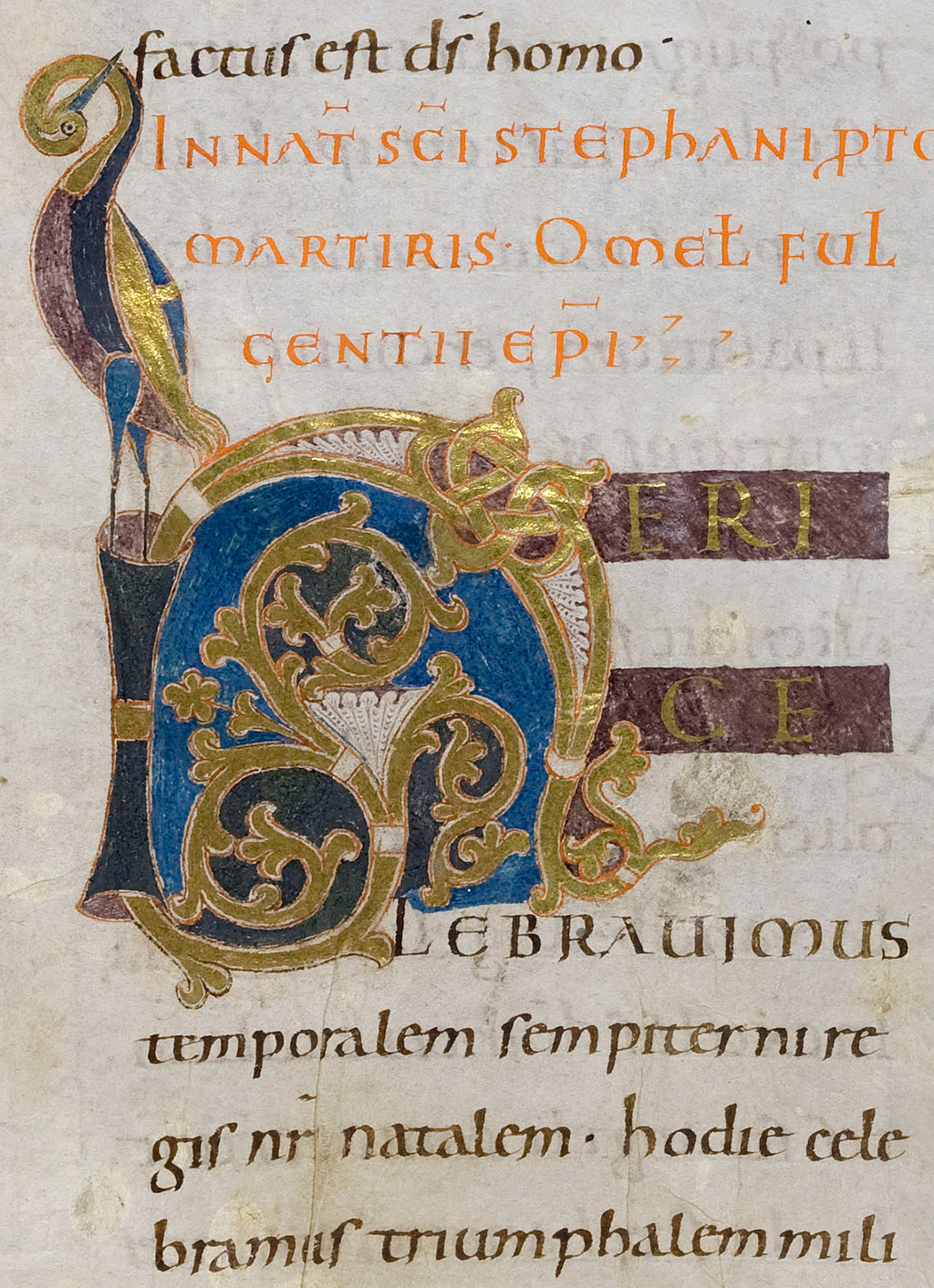 Zu sehen ist eine Ausschnitt aus dem Cod. Aug. perg. 16, Fol. 32r.  Neben kunstvollen lettern in Blau, Gold, Orange und Schwarz ist auch ein farbiger Kranich zu sehen.   