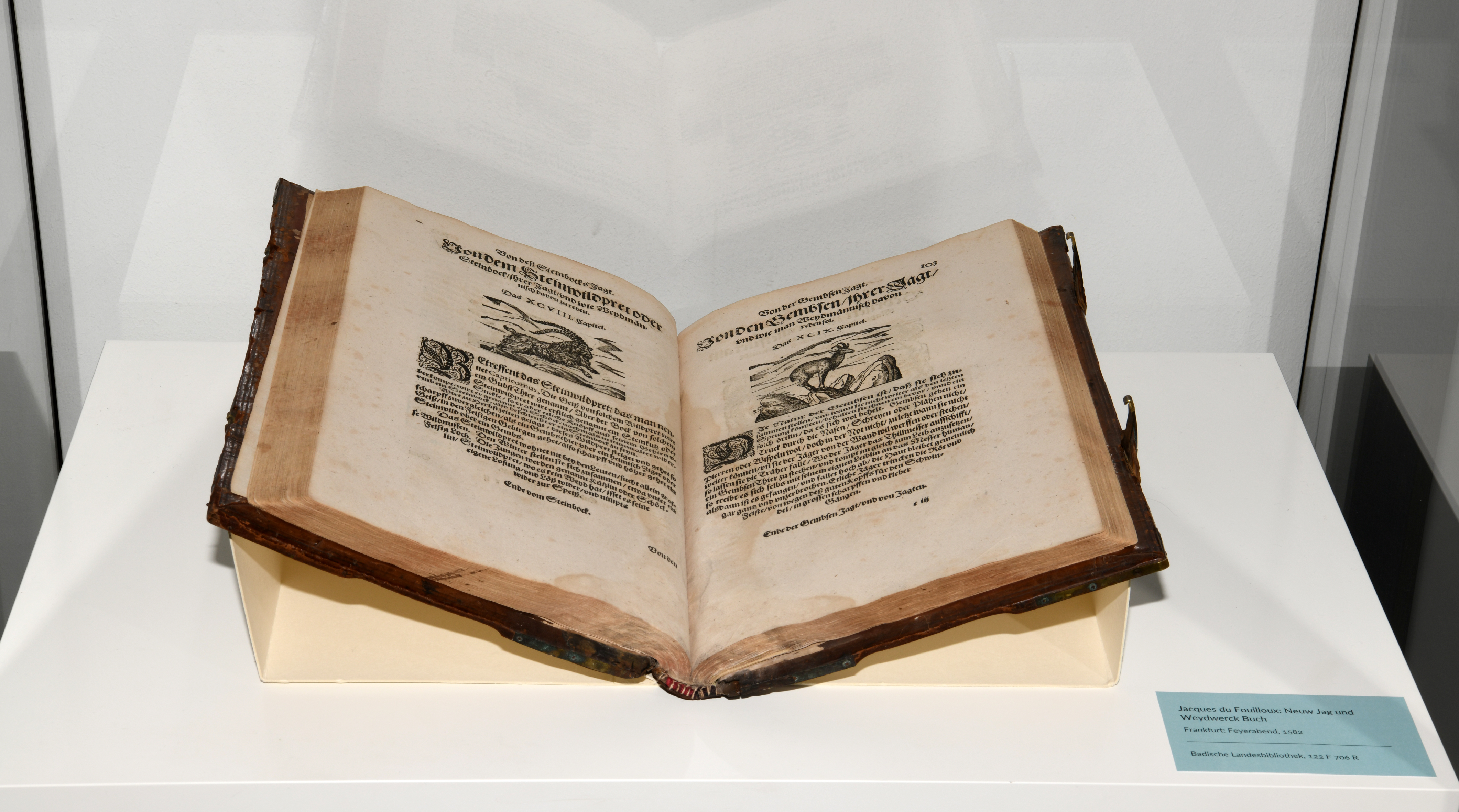 Zu sehen ist ein geöffnetes Buch in der Vitrine: ein Jagdbuch des Franzosen Jacques du Fouilloux. 