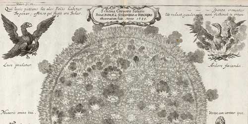 Karte der Sonne mit Sonnenflecken