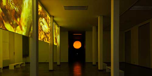 Audio-Video-Installation SolarSonical Insects # 2