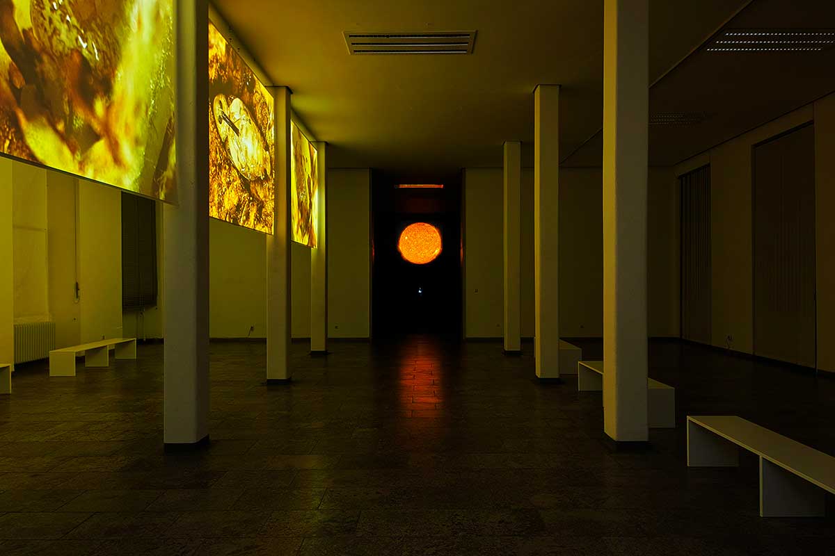 © Badische Landesbibliothek SolarSonical Insects # 2, Installationsansicht im Museum für Naturkunde Karlsruhe