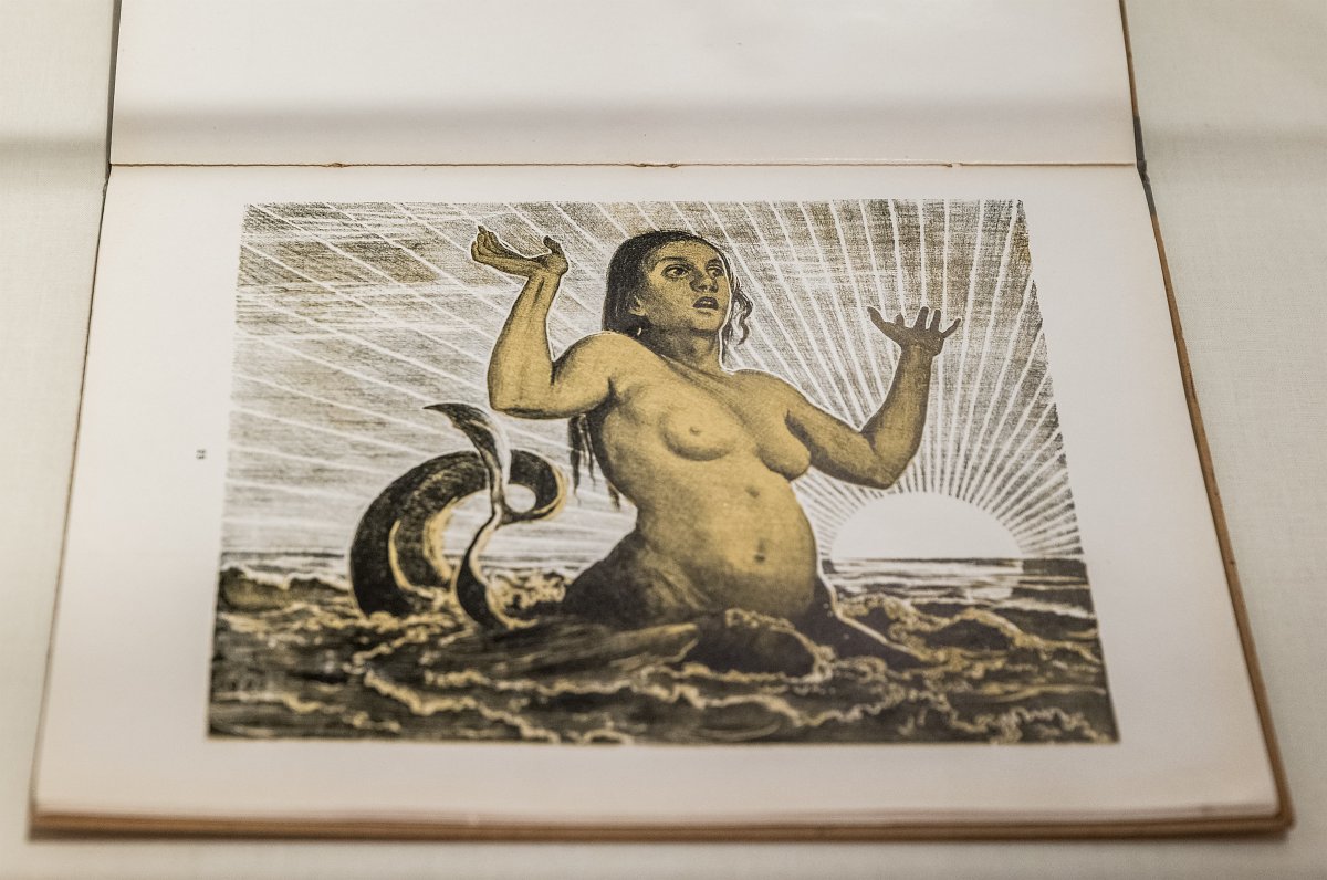 Zeichnung einer Meerjungfrau. Der menschliche, weibliche Torso ist sichtbar, die Flossenspitze ragt aus dem Wasser. Sie hebt die Arme in die Luft und schaut mit offenem Mund konzentriert in eine Richtung. Im Hintergrund geht die Sonne unter.
