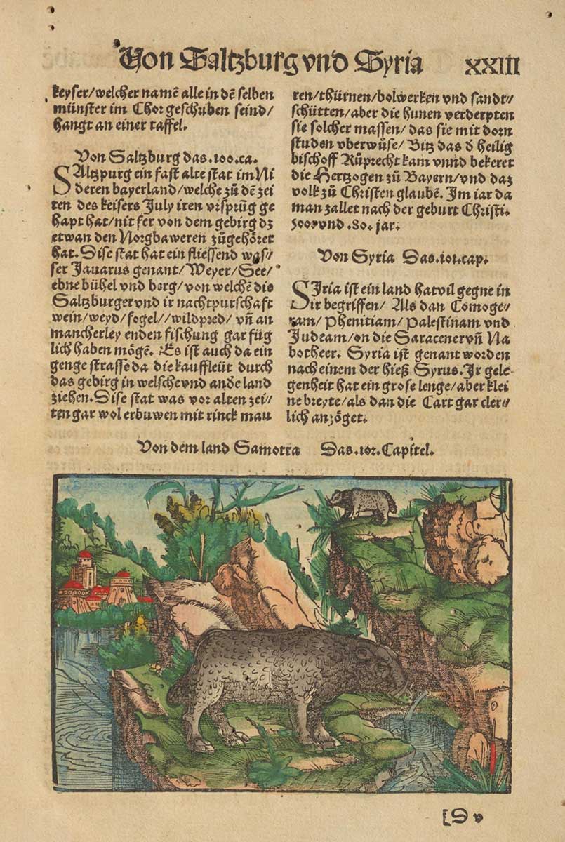 Zu sehen ist eine Buchseite, über Bewohner verschiedener Weltregionen, auf dieser Seite wird Syrien behandelt. In dem unteren Viertel der Seite befindet sich eine farbige Illustration, welche zwei Tiere in ihrer natürlichen Umgebung zeigt. Im Hintergrund ist ein Gebäude zu sehen, welches typische Architekturmerkmale der besagten Region aufweist.