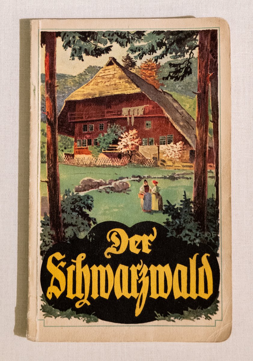 Buchcover, „Der Schwarzwald“, durch hohe Bäume ist ein Schwarzwaldhaus zu sehen, davor stehen zwei Frauen, farbig.