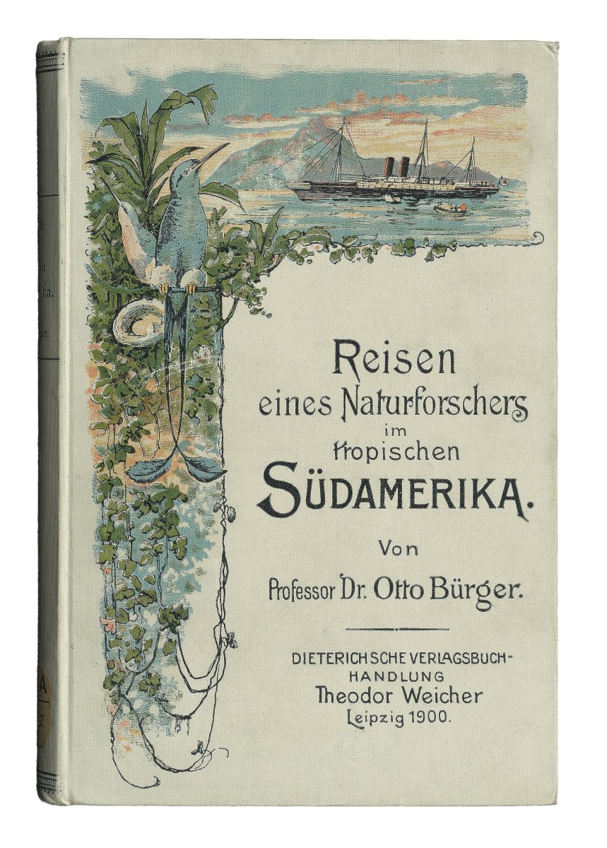 Einband des Buches „Reisen eines Naturforschers im tropischen Südafrika.“ Der Einband wurde mit kleinen, colorierten Zeichnungen verziert. 