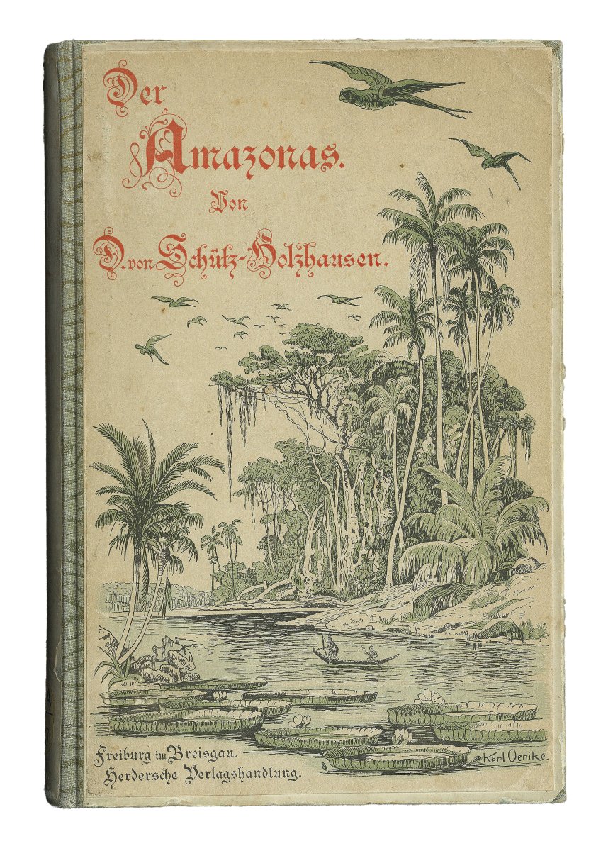 Zu erkennen ist der Einband des Buches „Der Amazonas“. Auf diesem befindet sich eine Illustration einer Landschaftsszene, die den Regenwald zeigt.