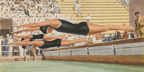 Illustration, welche den Start des olympischen Schwimmwettbewerbs für Frauen zeigt.