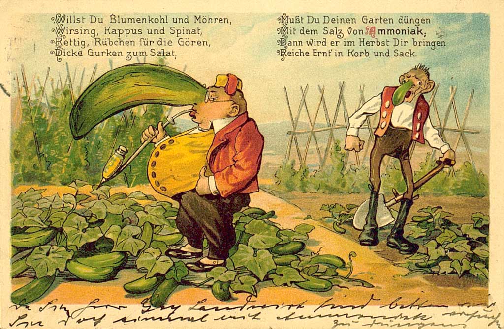 Zu sehen ist die Karikatur von zwei Gärtnern in einem Gemüsegarten. Beide haben sie überdimensionale grüne Gurkennasen. Einer der beiden ist dünn und groß gewachsen, der andere kleiner und übergewichtig. Letzterer raucht eine Pfeife. Ergänzt wird das Bildmotiv durch nachfolgende Verse: "Willst Du Blumenkohl und Möhren, Wirsing, Kappus und Spinat, Eettig, Rübchen für die Gören, Dicke Gruken zum Salat. Mußt Du Deinen Garten düngen. Mit dem Salz von Ammoniak. Dann wird er im Herbst Dir bringen reiche Ernt' in Korb und Sack". 