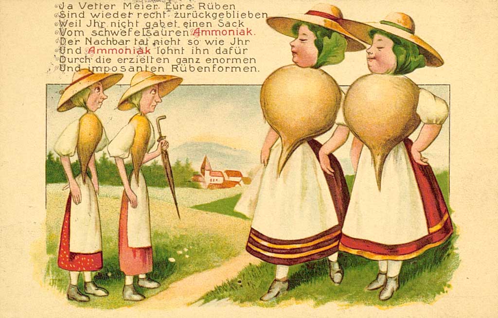 Zu sehen ist eine Ansichtskarte von 1914. Zwei Frauen in weiß Roter Tracht und Hut, deren Oberkörper aus dicken Rüben und Haare aus Salat bestehen, laufen an zwei ähnlichen Damen vorbei. Deren Oberkörper besteht ebenfalls aus Rüben, allerdings sind diese sehr verkümmert und dünn. Erweiternd sind folgende Verse zu lesen: "Ja Vetter Meier Eure Rüben sind wieder recht zurückgeblieben weil Ihr nicht gabet einen Sack vom Schwefelsäuren Ammoniak. Der Nachbar tat nicht so wie Ihr und Ammoniak lohnt ihn dafür durch die erzielten ganz enormen und imposanten Rübenformen".  