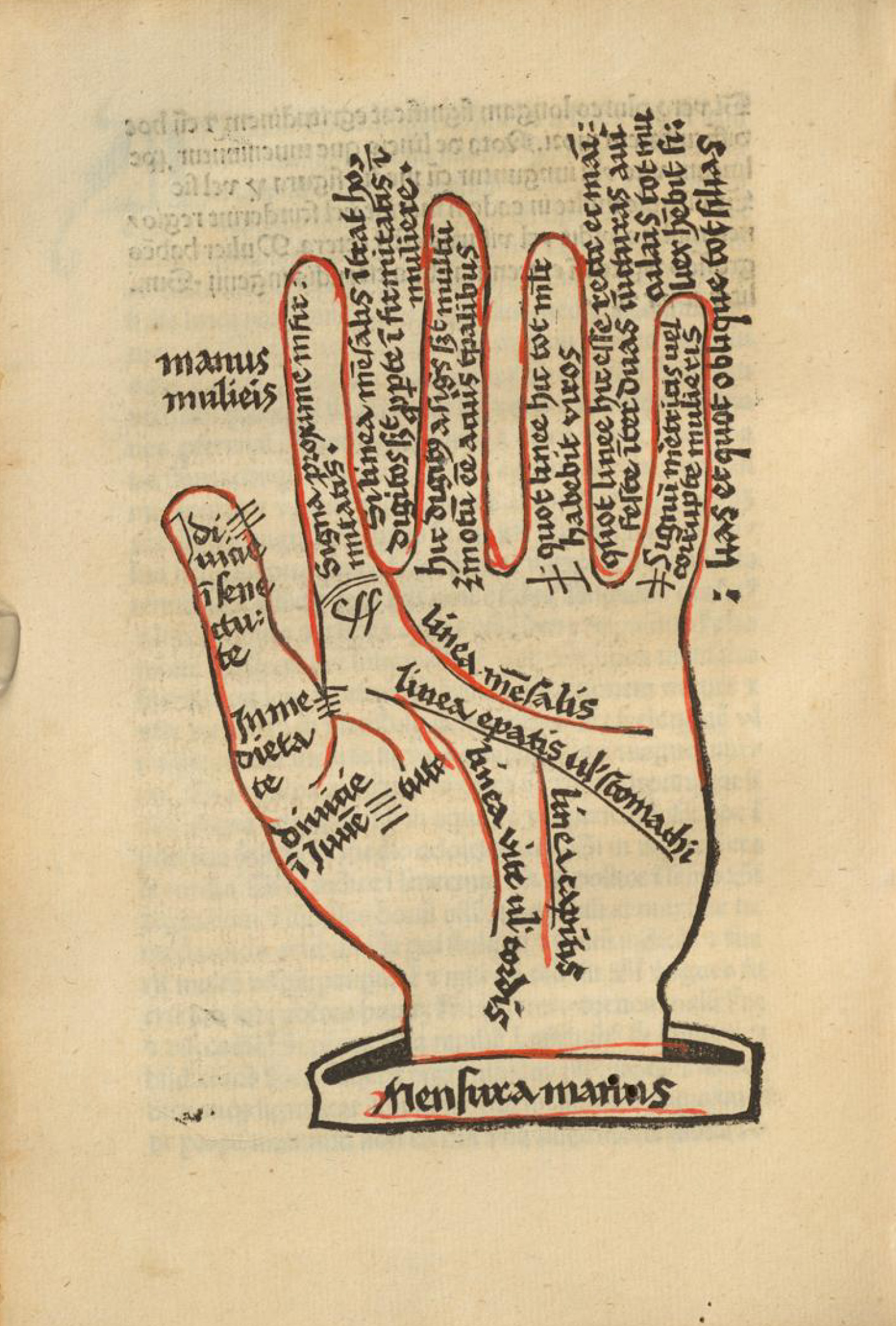 Abbildung einer Handfläche mit eingetragenen Deutungen der Handlinien.