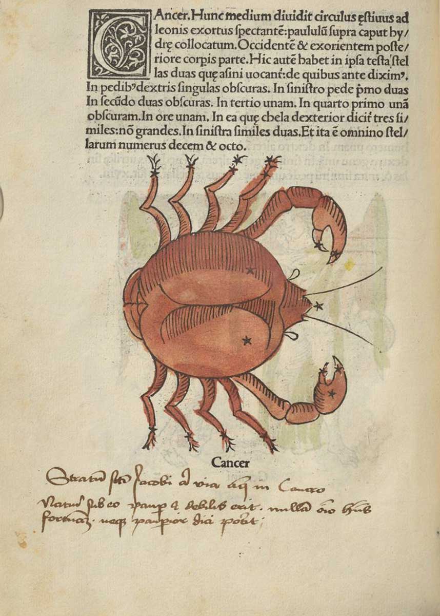 Schrift zur Deutung des Sternzeichens Krebs mit Illustration.