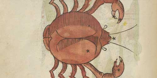 Sternzeichen Krebs mit Illustration