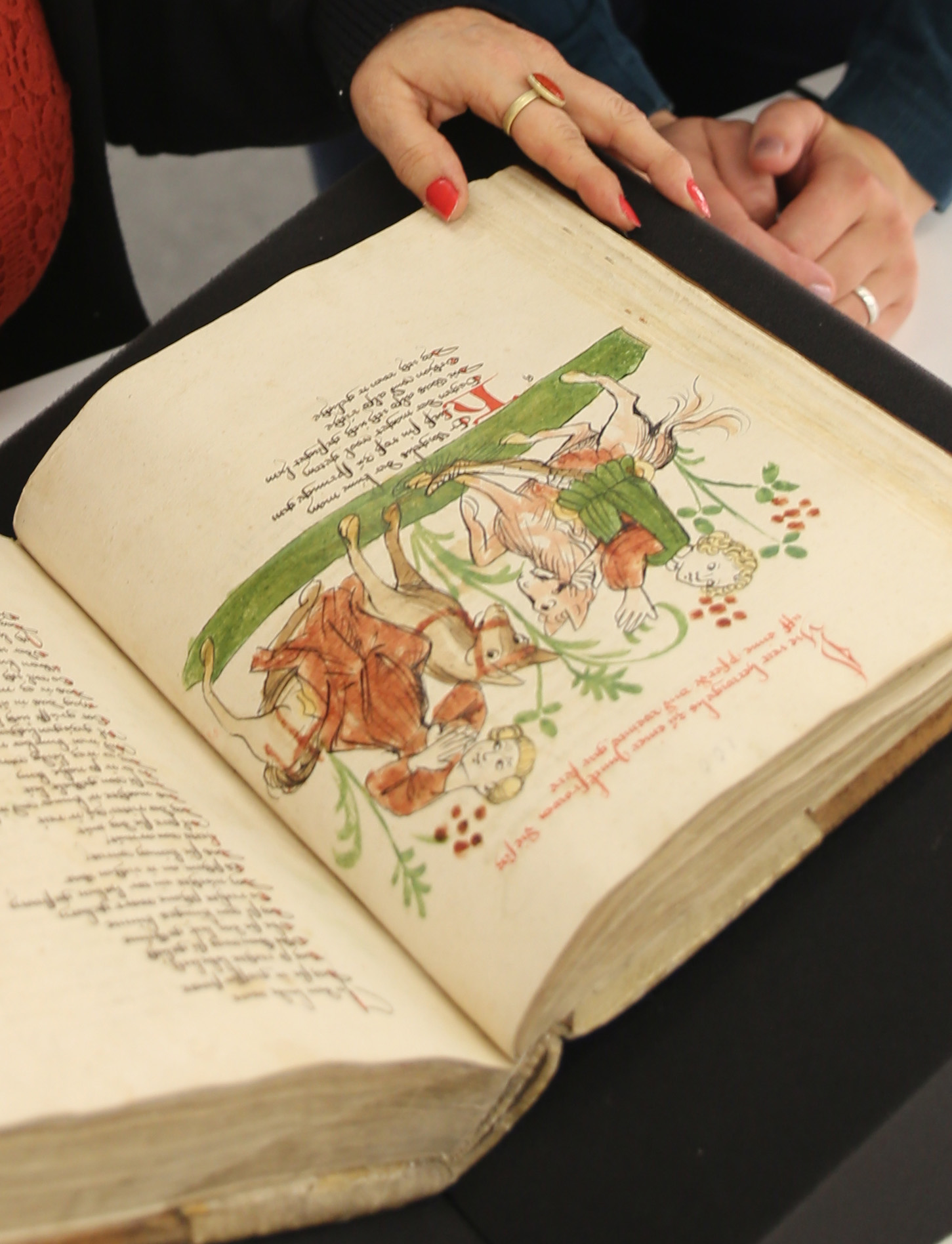 Das Bild zeigt zwei Personen, die sich die Wigalois-Handschrift ansehen. Aufgeschlagen ist die Illustration auf dem Blatt 50v: Wigalois trifft unterwegs auf die phönizische Königin Elamie. 