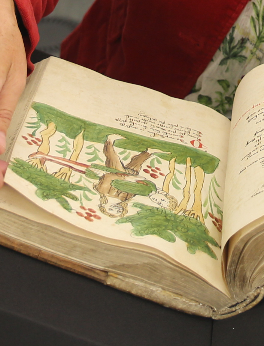 Das Bild zeigt eine Person beim Durchblättern der Wigalois-Handschrift. Zu sehen ist das Blatt 125r: Wigalois wird von der wilden Ruel in eine Höhle getragen. 