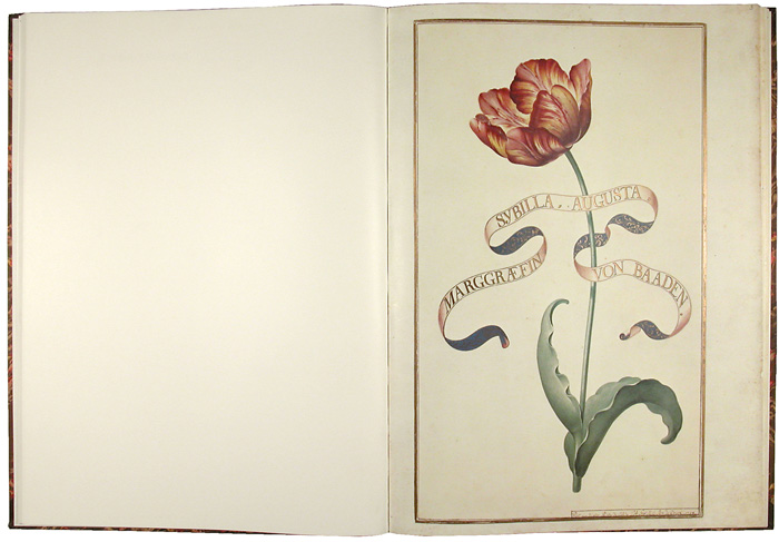 Zu sehen ist ein Foto von einer Doppelseite eines Aufgeschlagenen Buches. Die linke Seite ist frei, wobei auf der rechten Seiten eine Tulpe abgebildet ist. Die Tulpe wird von einem schnörkeligen Textbanner umschwingt. 