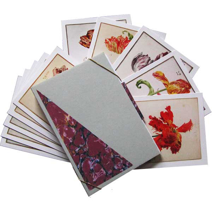Zu sehen sind 12 Briefkarten aus dem Karlsruher Tulpenbuch inkl. 12 Briefumschläge in dekorativem Pappkarton