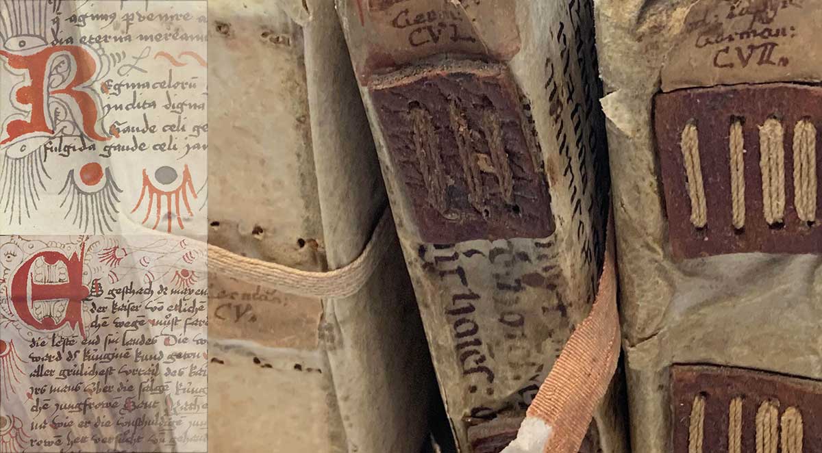 Zu sehen sind mehrere historische Buchrücken.