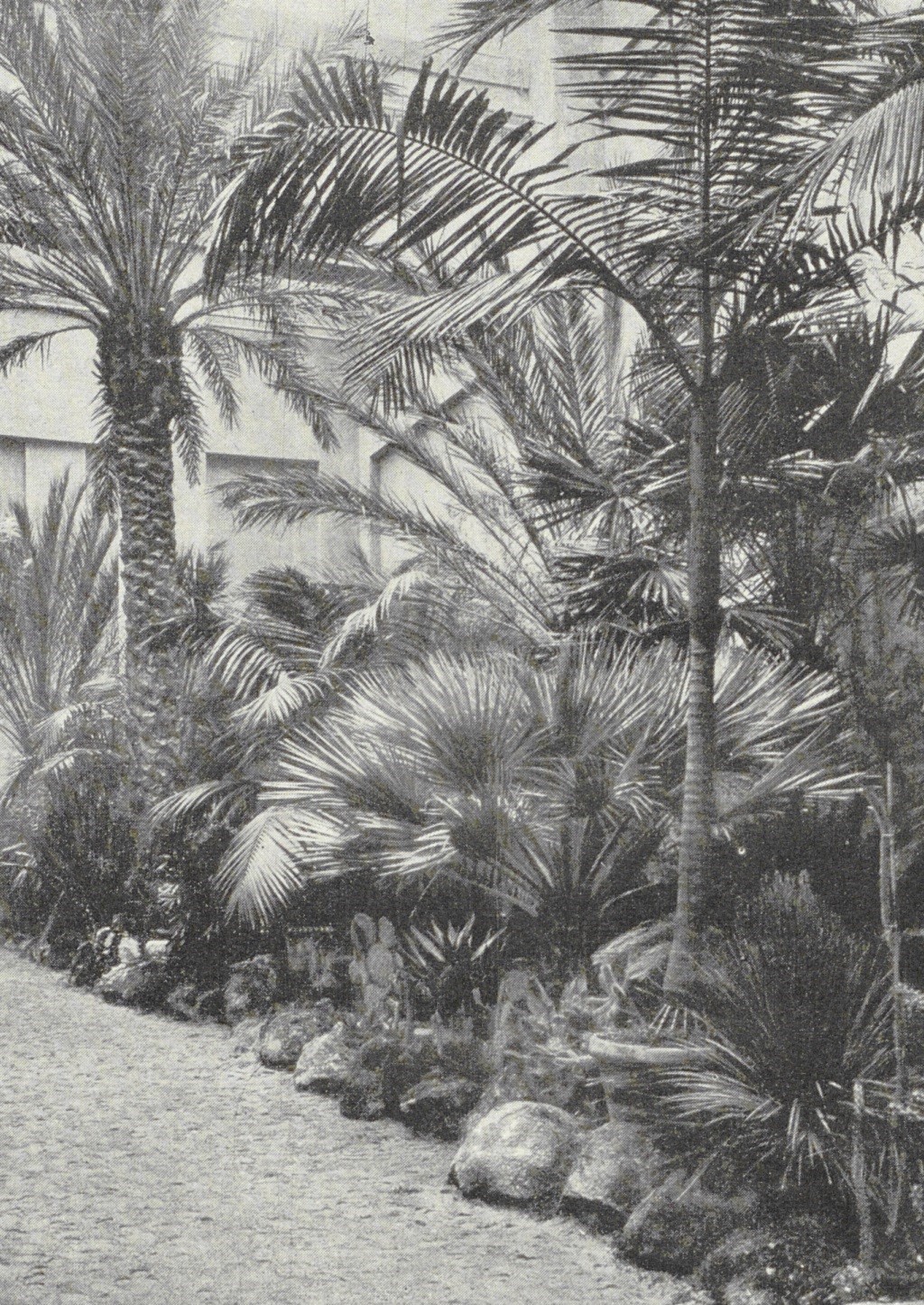 Das Foto zeigt die Palmenhalle der Internationalen Kunst- und Gartenbauausstellung in Mannheim 1907.