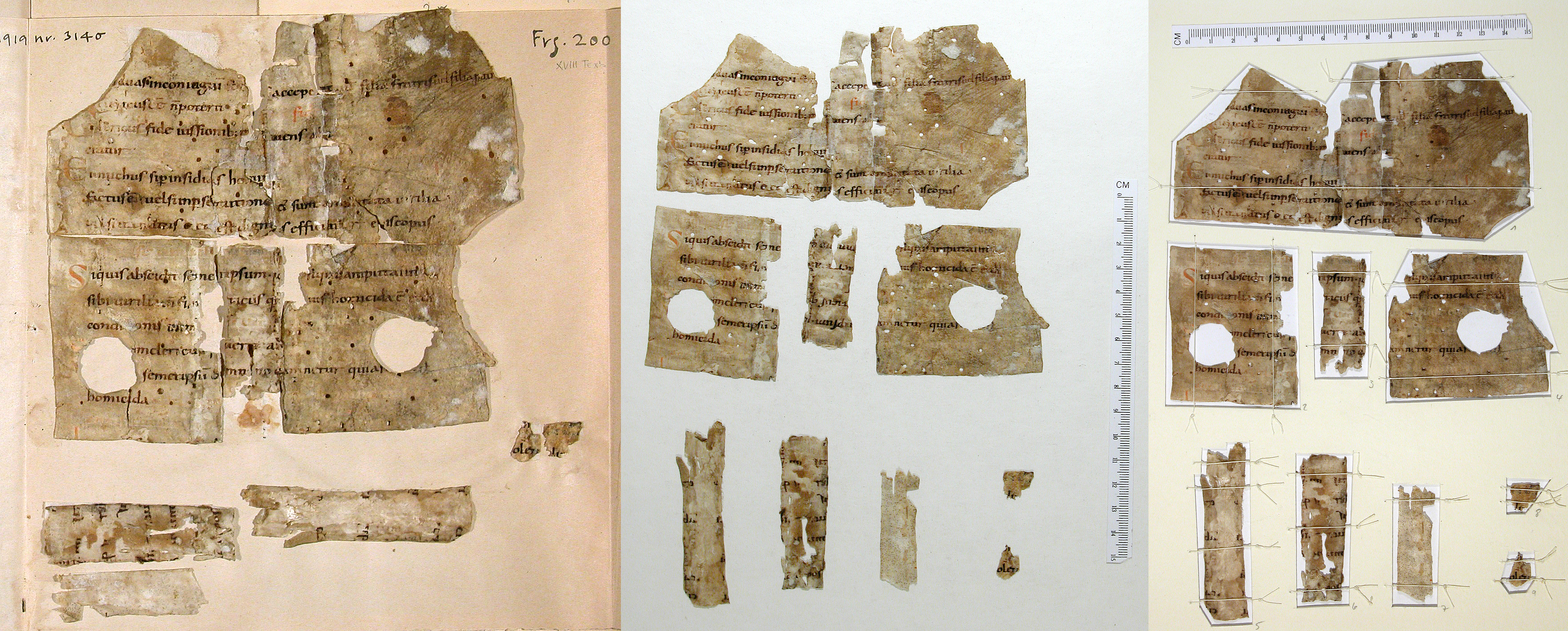 Das Bild zeigt Reichenauer Fragmente  im säurehaltigen Kartoneinband (links), aus dem Karton herausgelöst (Mitte) und in Passepartouts aus Museumskarton zwischen Leinenfäden gespannt (rechts). 