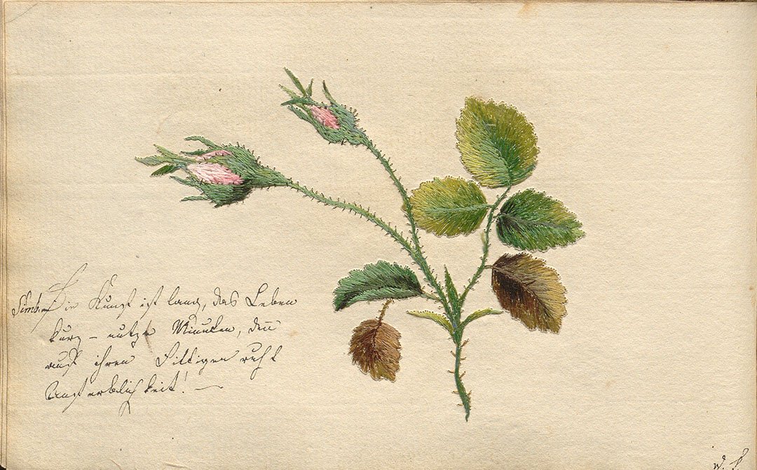 Die Abbildung zeigt eine signierte Papierstickerei mit Rosenknospen und Vers über die Parzen von Wilhelmine Fritzsche.
