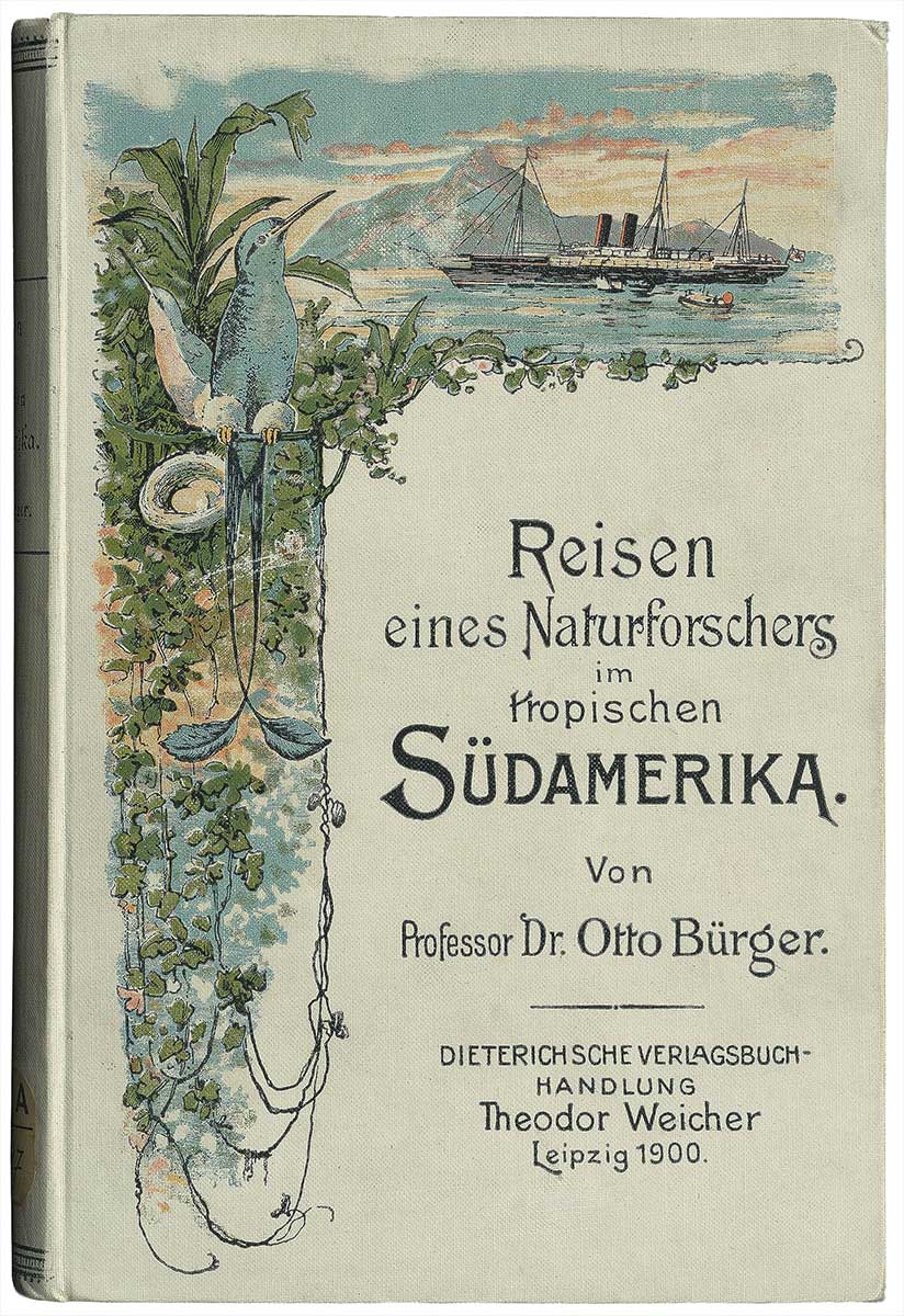 Einband des Buches „Reisen eines Naturforschers im tropischen Südafrika.“ Der Einband wurde mit kleinen, colorierten Zeichnungen verziert.