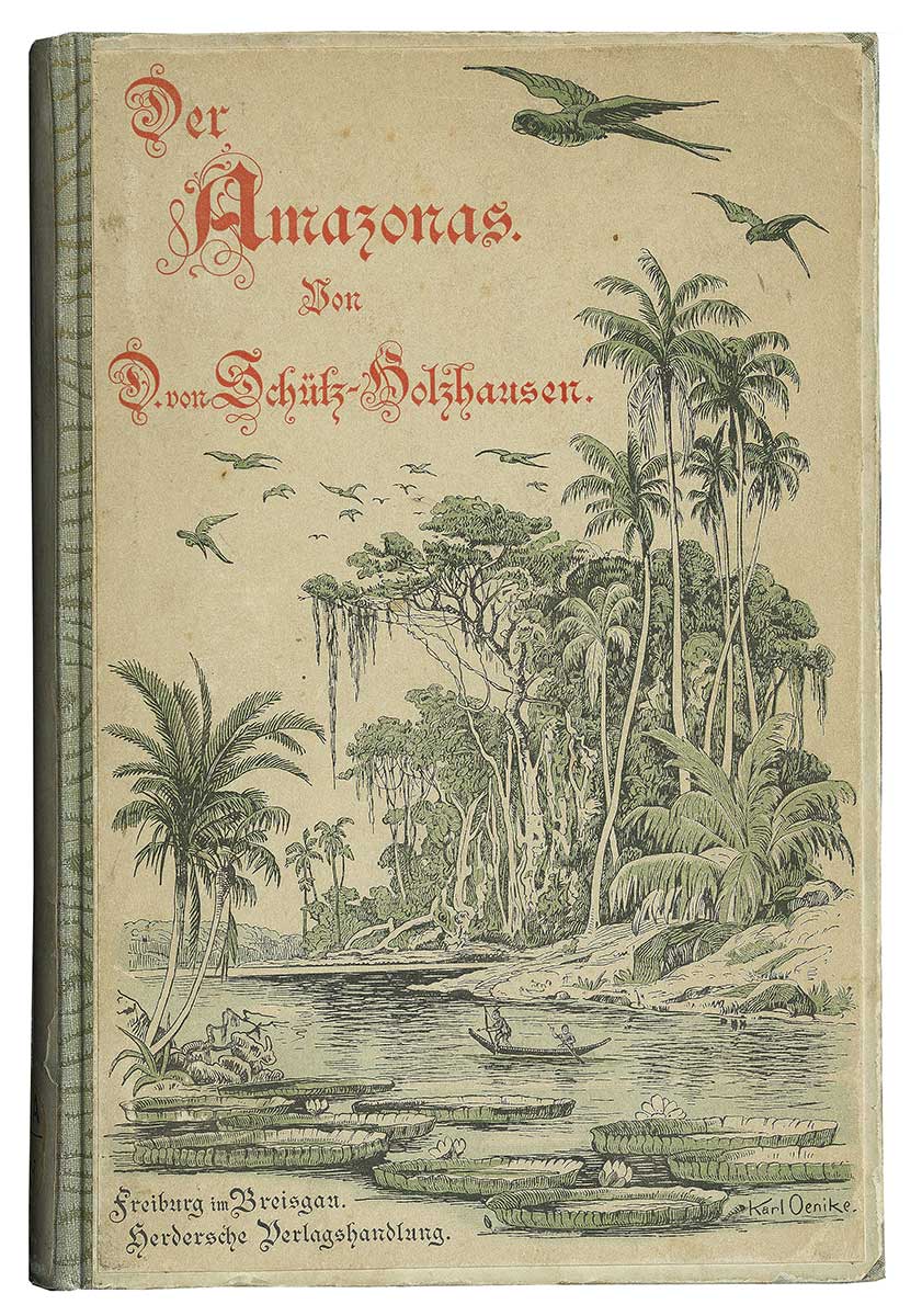 Zu erkennen ist der Einband des Buches „Der Amazonas“. Auf diesem befindet sich eine Illustration einer Landschaftsszene, die den Regenwald zeigt.