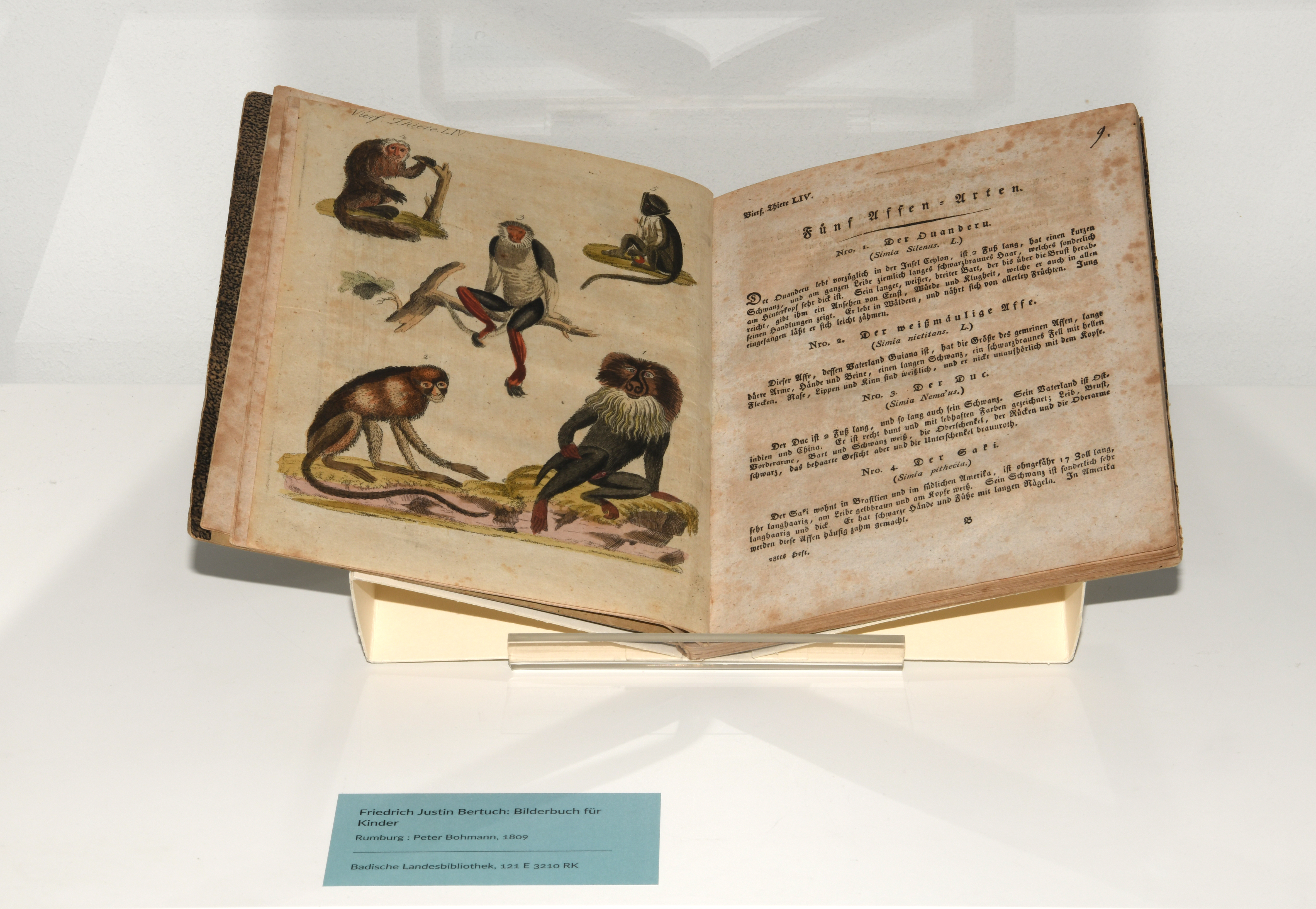 Das Foto zeigt ein aufgeklapptes Buch, auf der linken Seite mit Illustrationen von Affen und auf der rechten mit Text.