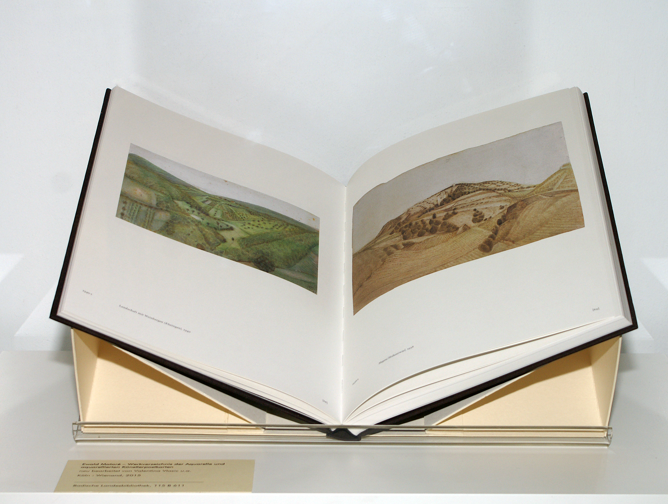 Aufgeschlagenes Buch mit zwei Aquarellen, Weinberge im Frühling und im Herbst.